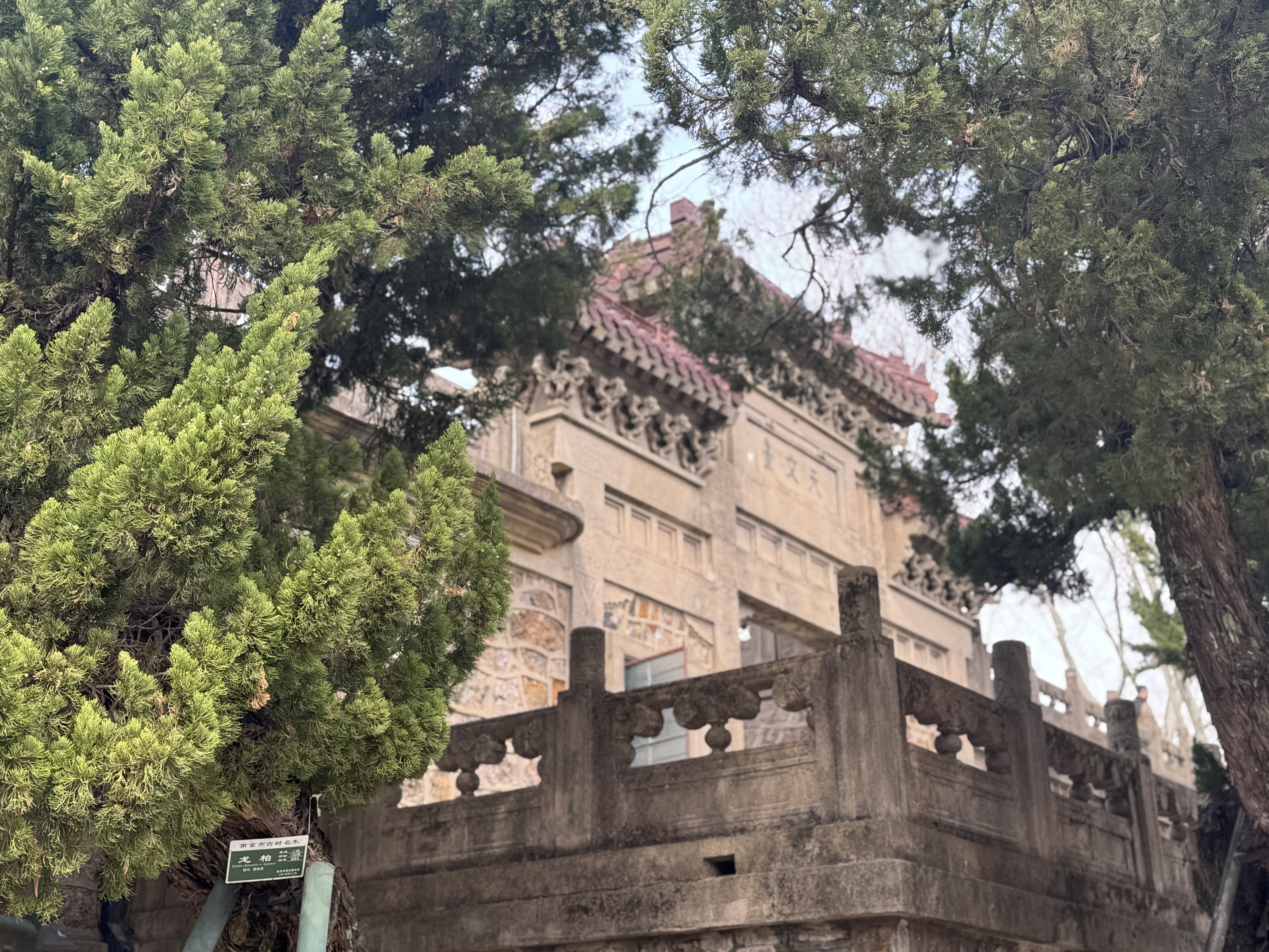Zijin Mountain